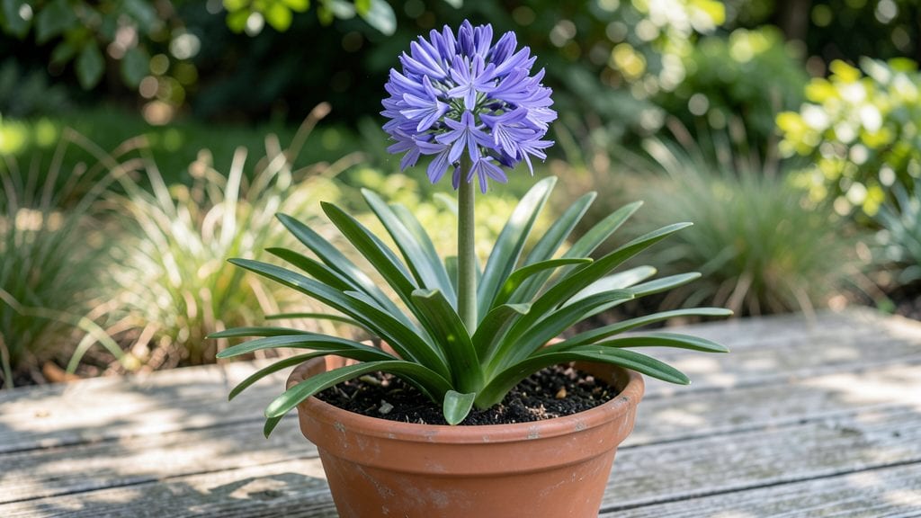 Blue Lily Flower Growing Guide: Pacific Northwest Frost-Resistant Varieties Made Simple